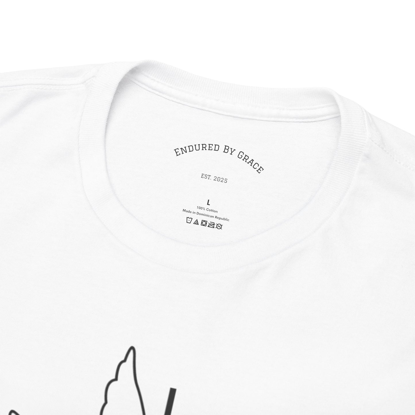 In The Beginning- Unisex Heavy Cotton Tee