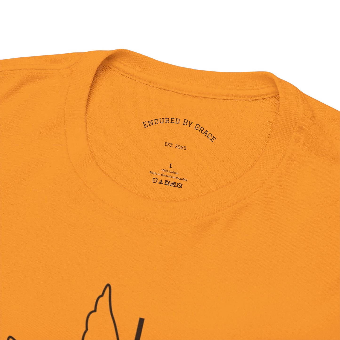 In The Beginning- Unisex Heavy Cotton Tee