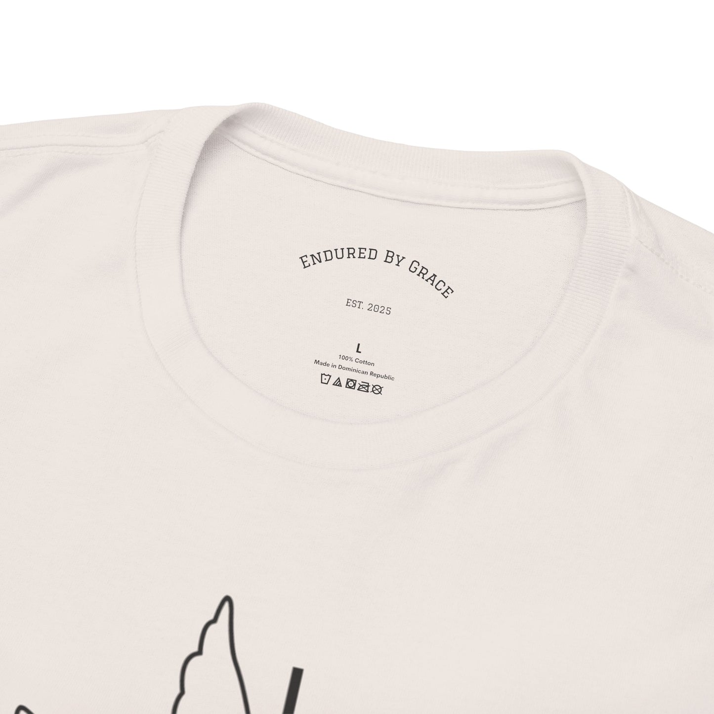 In The Beginning- Unisex Heavy Cotton Tee